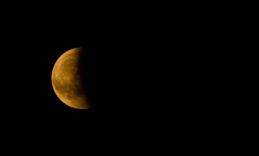 Источник: wirestock / freepik.com