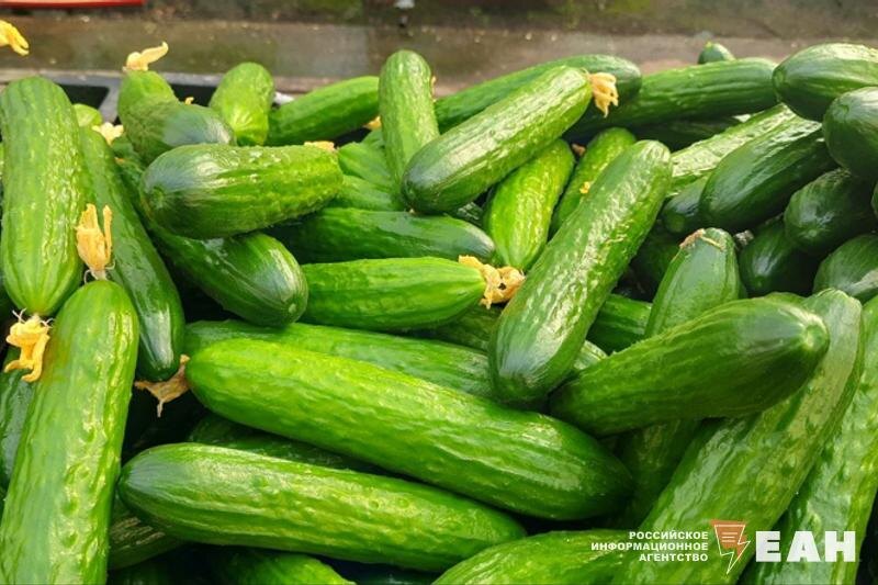   Огурцы