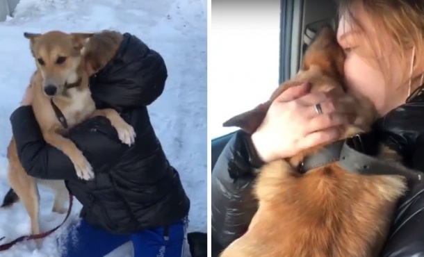 Скриншот с видео / приют "БиМ" / предоставлено hornews.com