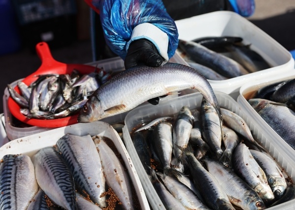 Фото: РИА Новости