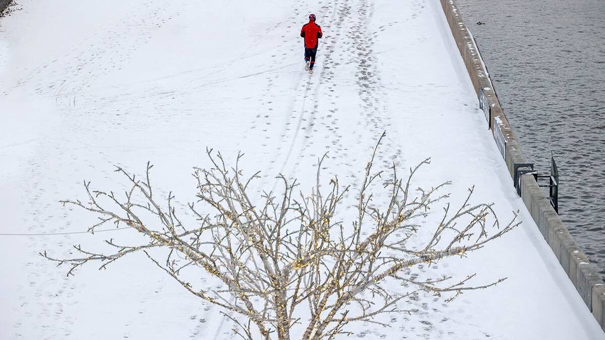    Фото: Ярослав Чингаев / АГН Москва