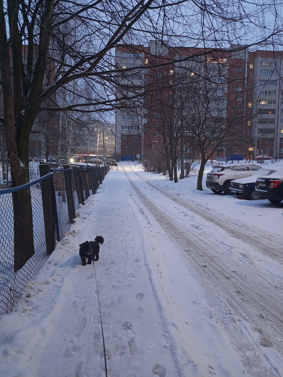 Такое темное утро у нас