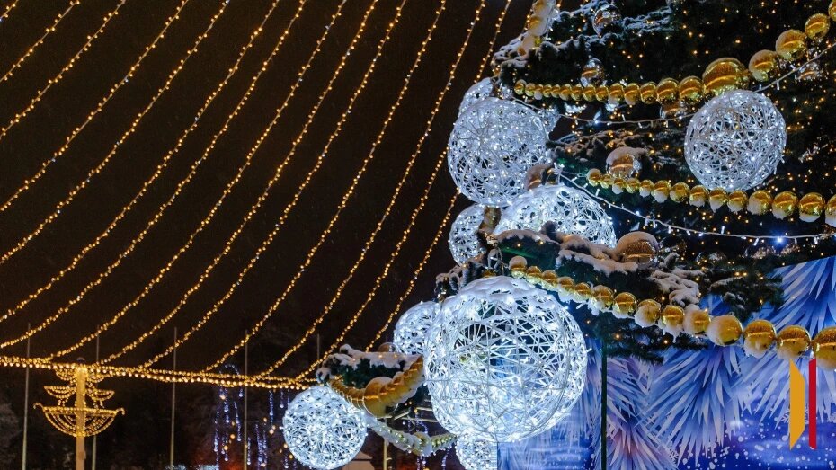    Автор фото: из архива РИА «Воронеж»