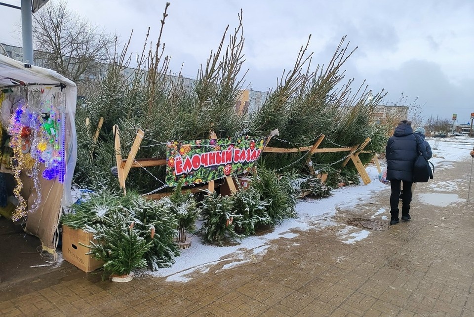    Елочный базар в "Южном". Александр ЖМУЛИН