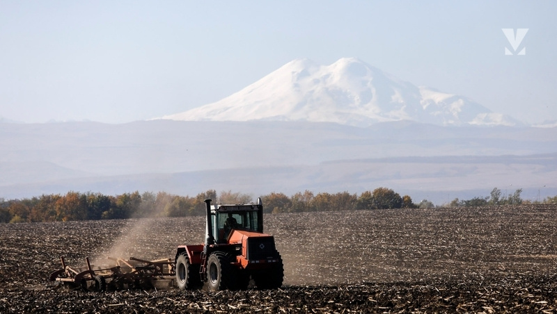      Фото: ИА «Победа26»
