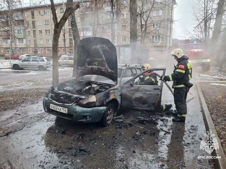     Фото: ГУ МЧС Тульской области