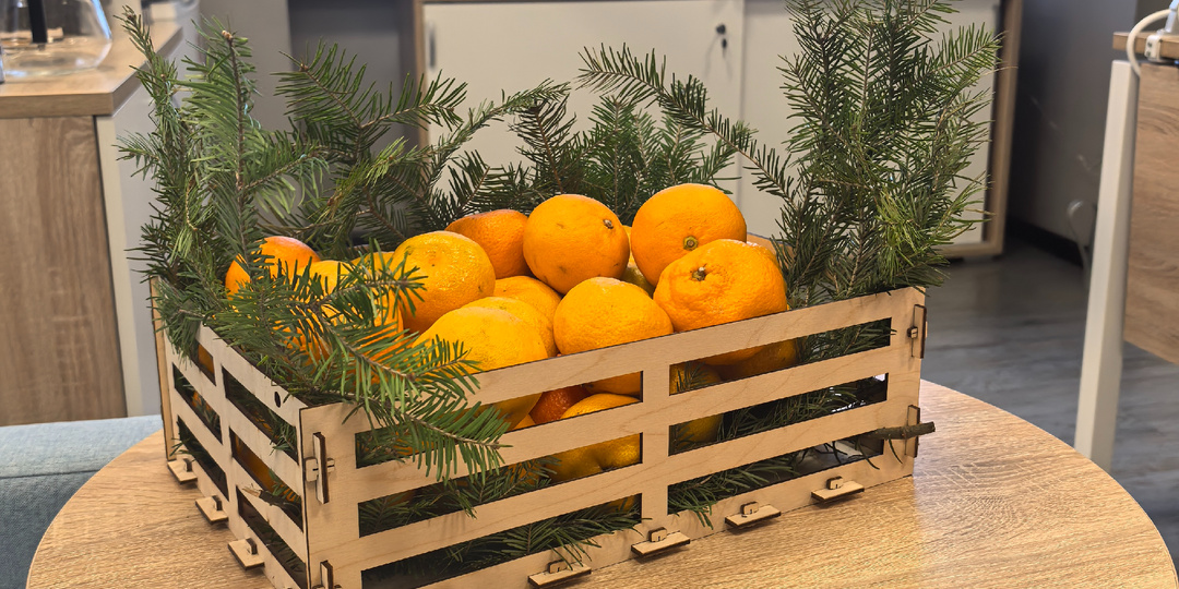 Поставили ёлку, бережем силы и ждём нового года. Дневниковое