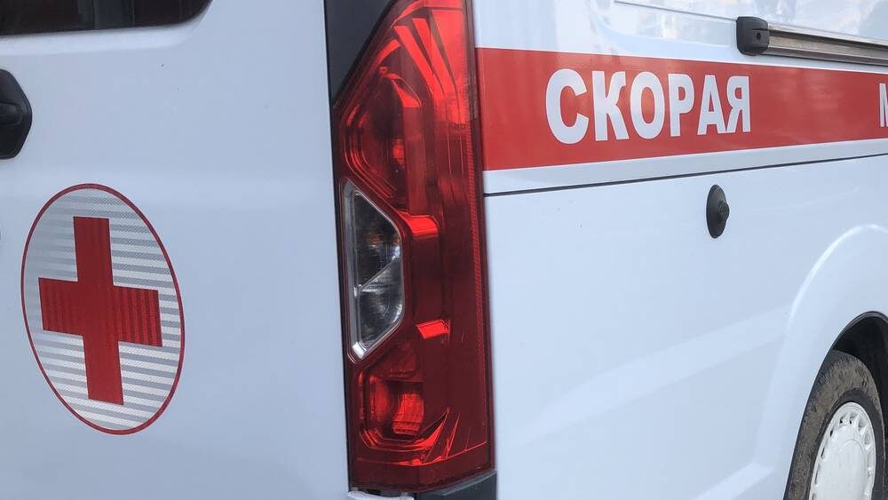    Фото: Правительство Брянской области