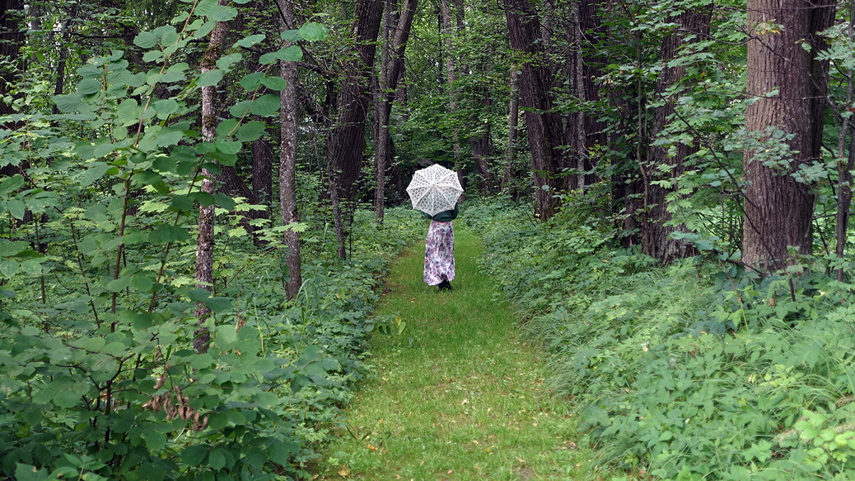 Прогулка по аллеям старинного парка 