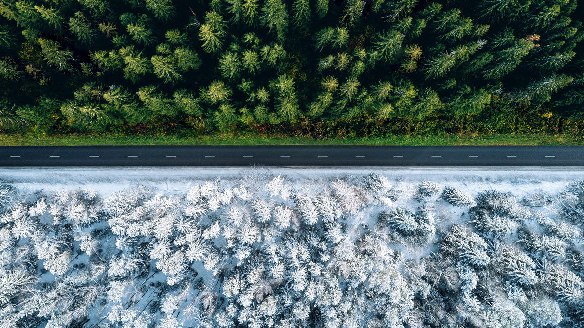    Фото: nblx/Shutterstock/FOTODOM Ученые выясняли, что смена времен года на планете происходит гораздо менее синхронно, чем принято считать.