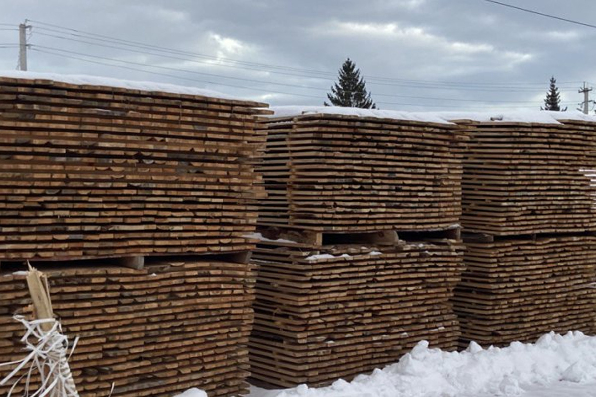    Фото: Россельхознадзор, источник: 21.fsvps.gov.ru