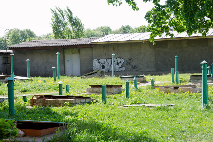 Один из ключевых аспектов удачного хранения урожая - правильная вентиляция