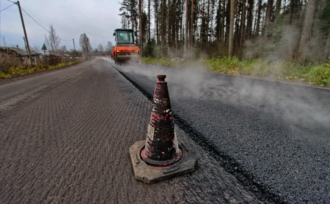    © Анастасия Илюшина / ЛенТВ24. Архивное фото