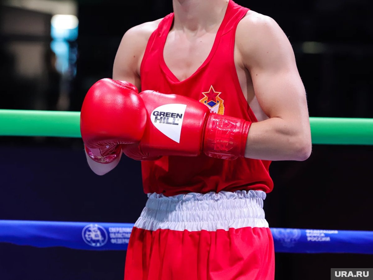     Укус боксера был признан случайным