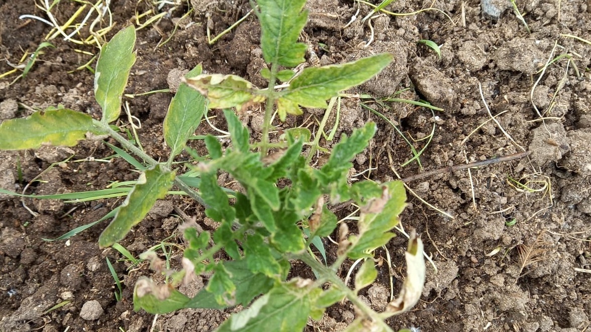 Раньше каждый сезон превращался в лотерею. 