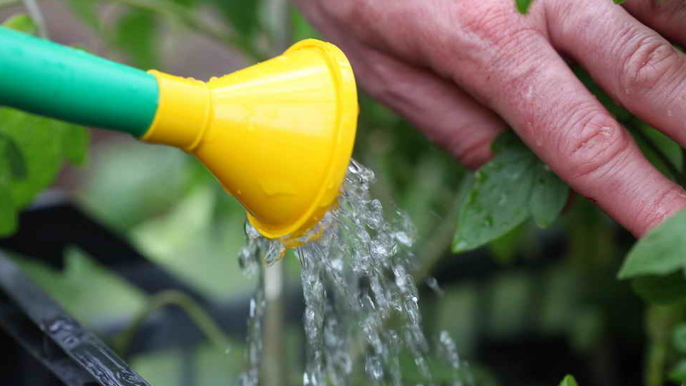  После засухи устраиваю "потоп"