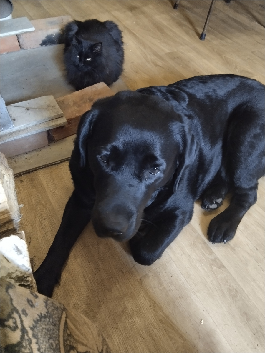 Фото автора.