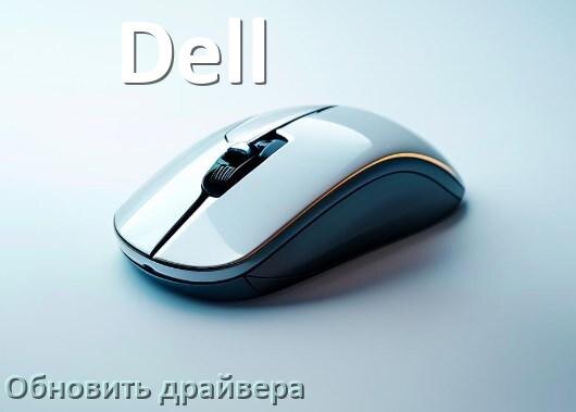 
Как обновить драйвер мыши Dell и установить в Windows 11 и 10
