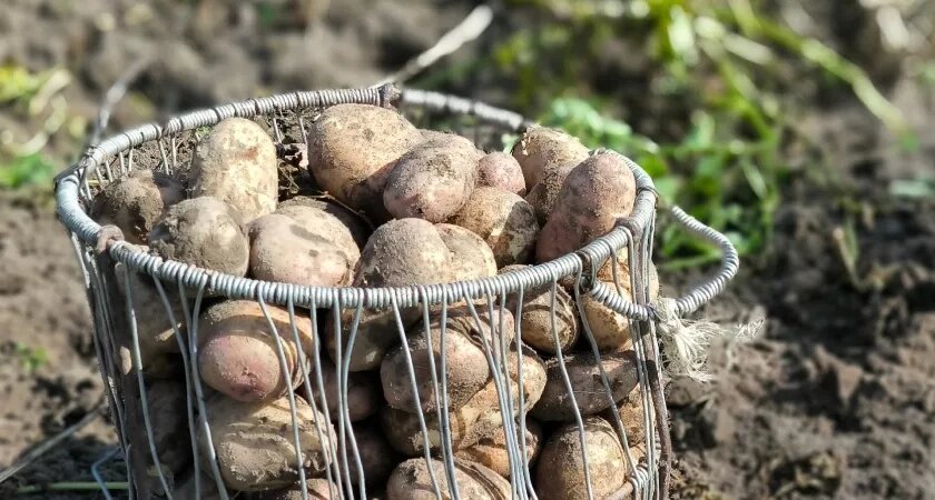    Фото из архива редакции