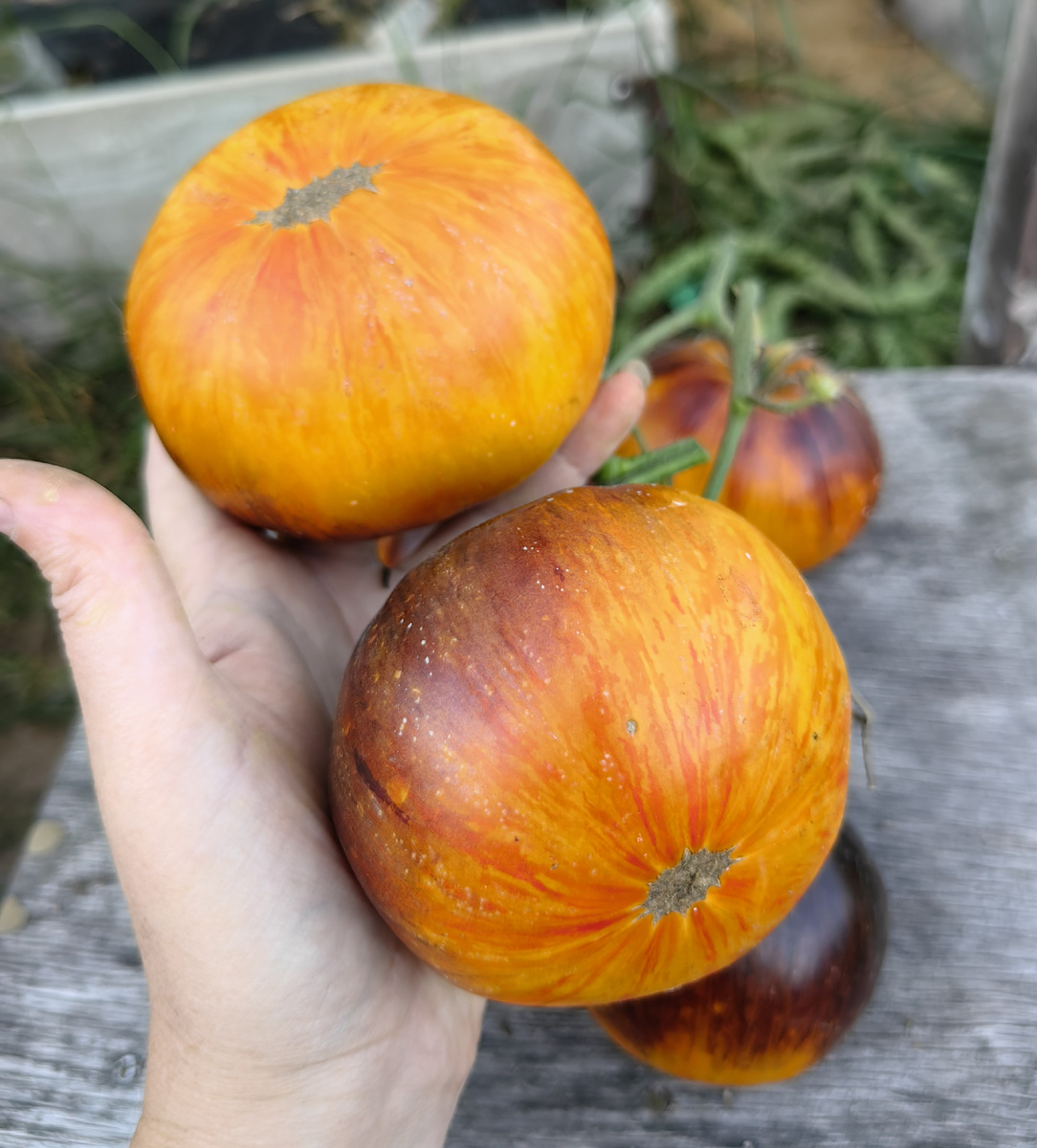 Аппетитные Щечки от Гавриш