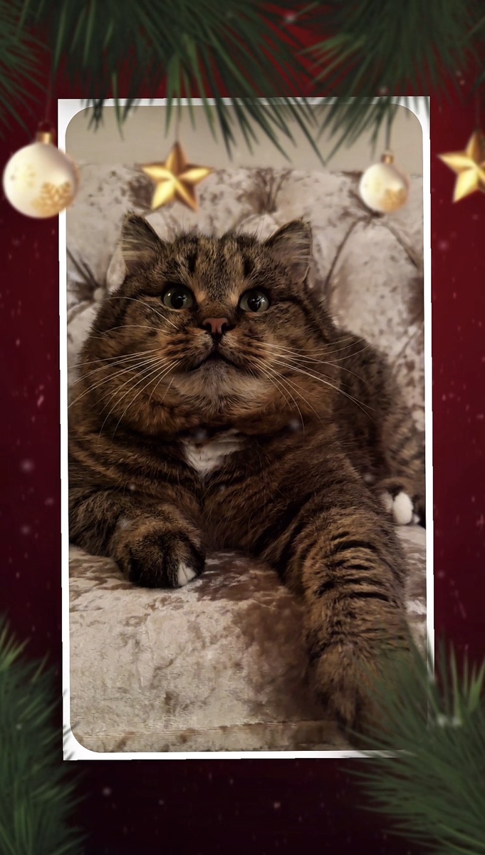 Вам открыточка!