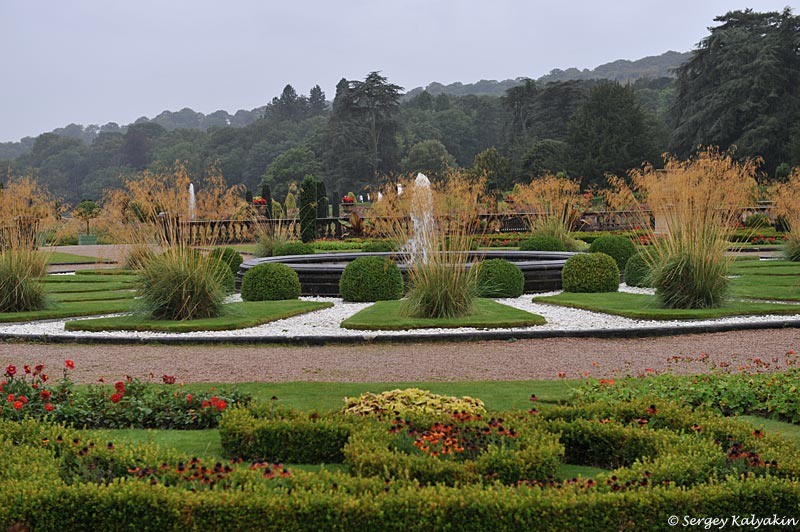 Ковыль гигантский в партере итальянского сада в Трентхэм Гарденз