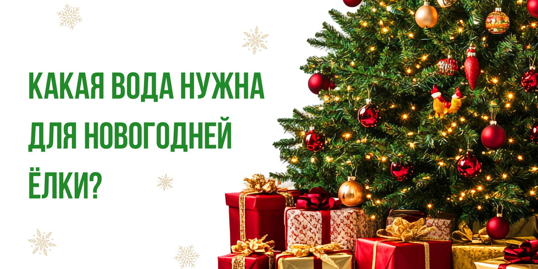 Какая вода нужна для новогодней ёлки?