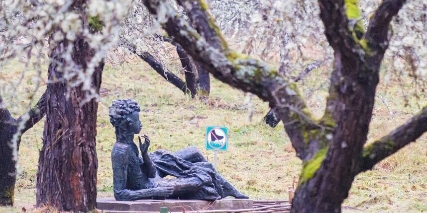    Алена Бобрович