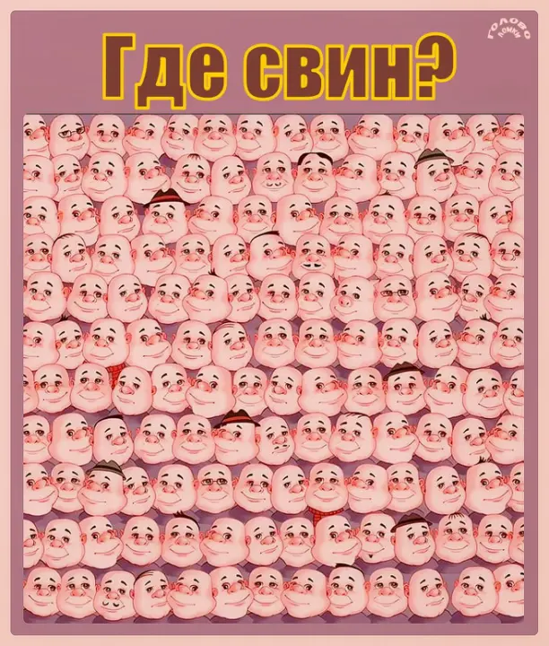 🐷 Найди свина за 5 секунд — проверь свою зоркость!