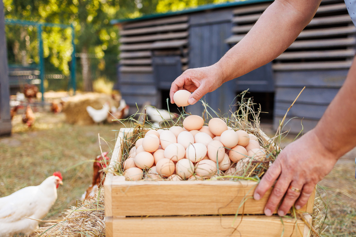 Фото: Shutterstock