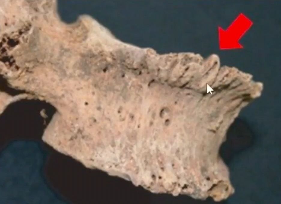 ЛИСТАЙТЕ КАРУСЕЛЬ ФОТОГРАФИЙ