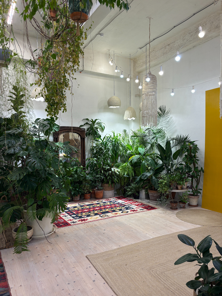 Вопросы собирали из всех соц. сетей и выпускали примерно 1 раз в неделю аудио длительность от 30 минут до 1,5 ч. 
Помимо не душных, аргументированных, без воды ответов на вопросы типа "отстаивать или нет воду для поливки растений" Игорь делится, например, как своими руками подводил электричество к теплицам. А Анна мотивирует людей, рассказывая с какими трудностями сталкивалась при создании своего тропического пространства.