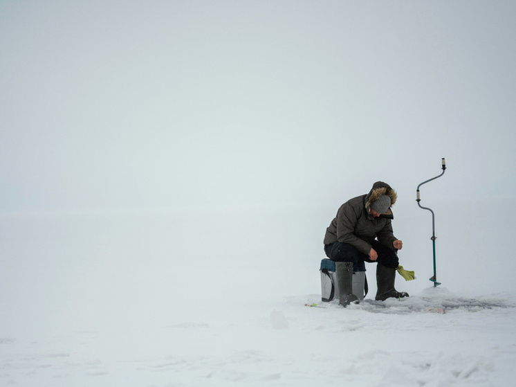     Источник: FreePic