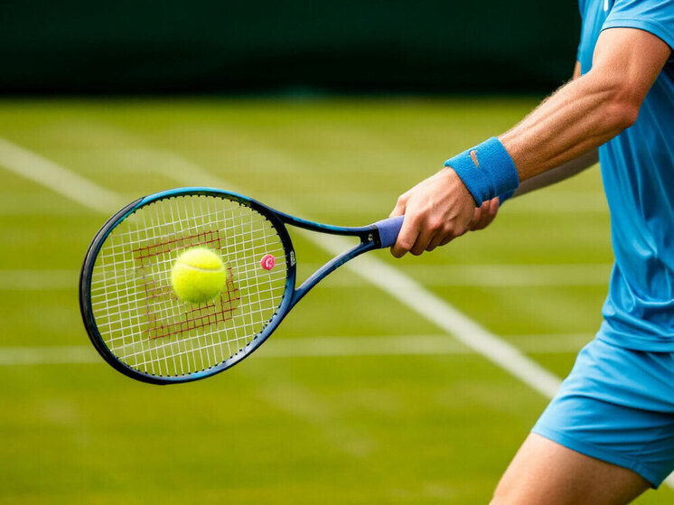     фото Шедеврум