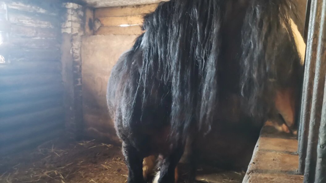    Фото: Олег Рукавицын. Царьград