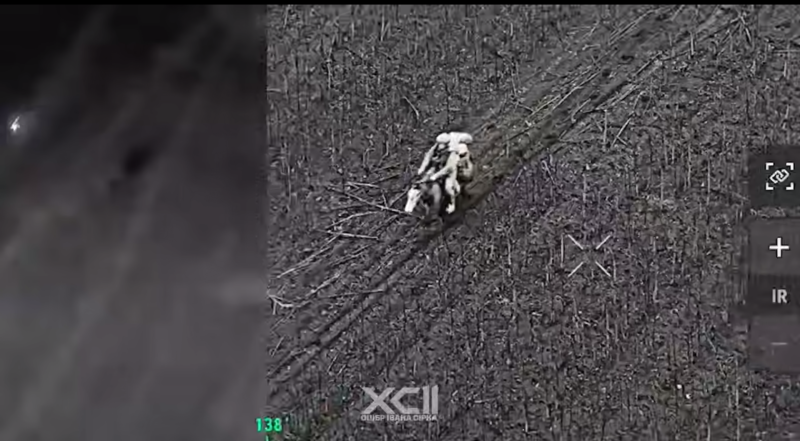    Скриншот: Telegram/Политика страны.