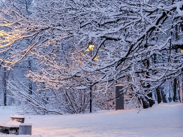    Фото: Москва 24/Лидия Широнина