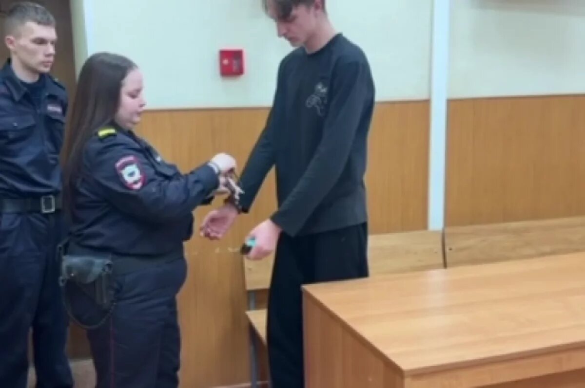    В Тольятти ужесточили наказание по делу о серии мошенничеств с пожилыми