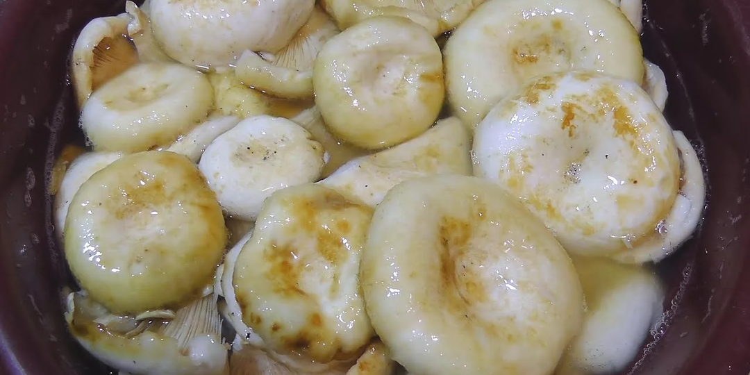 Найти себя и не только....