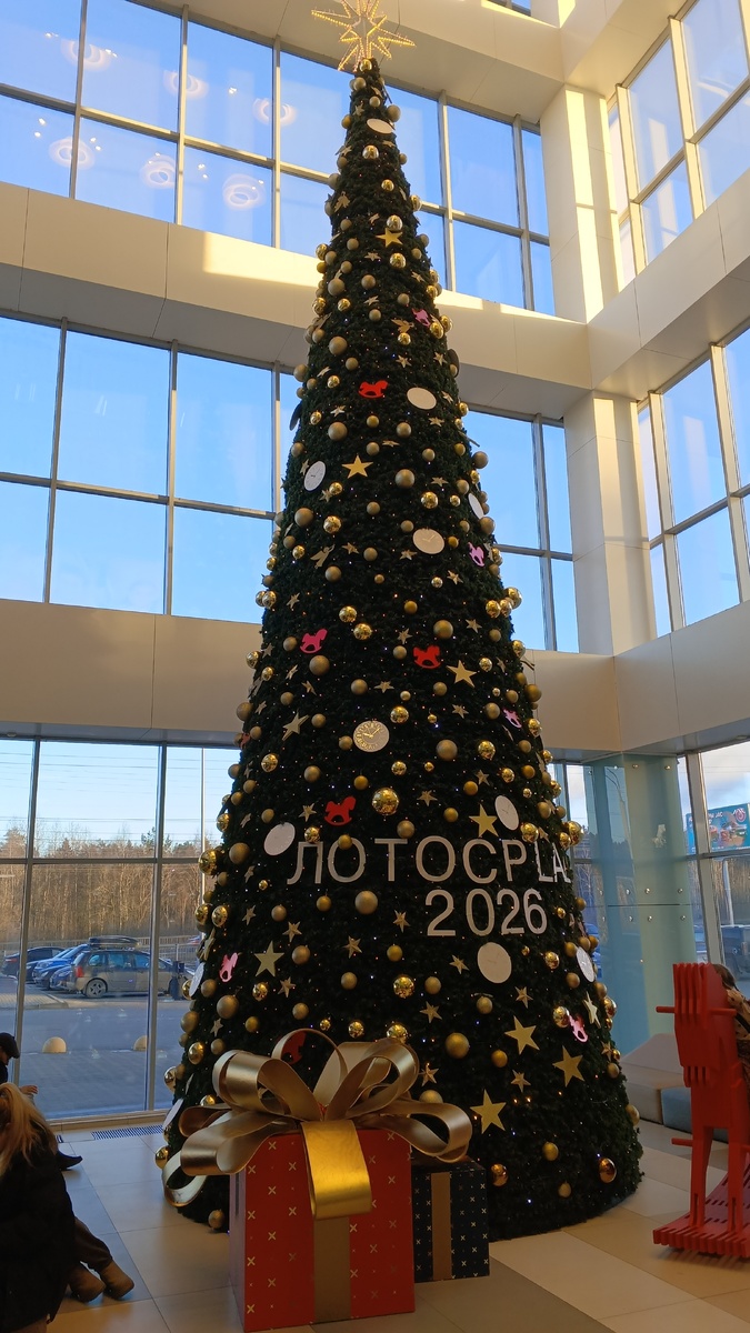 фото автора: это елка, она установлена у нас в самом большом ТРЦ Лотос Плаза