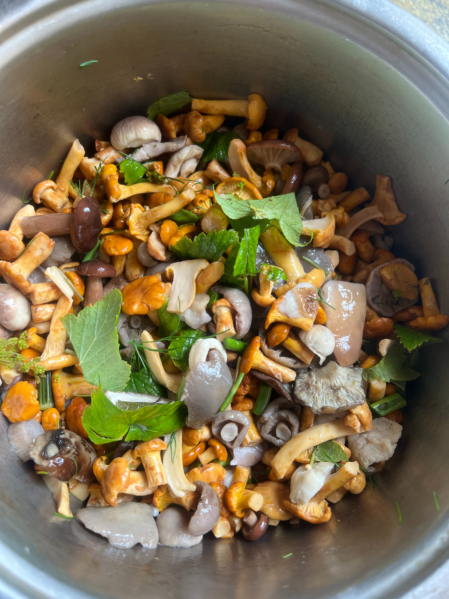 А посолить их вместе с первыми сыроежками - просто шик.