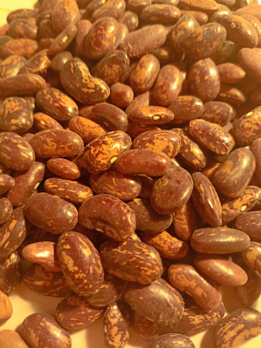 коричневая или пестрая фасоль: основа основ, залог успешности в этом блюде. Кпупная, рассыпчатая фасоль даст мягкую текстуру и нежность