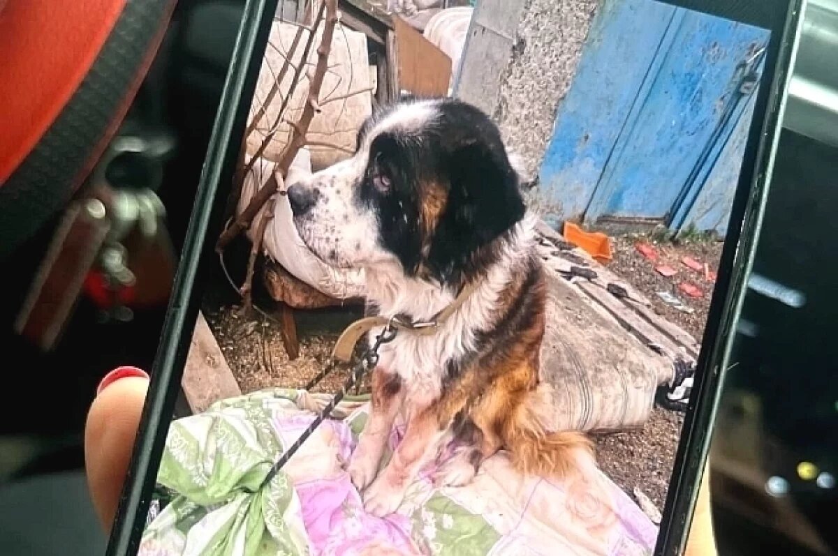    Конвейер смерти.