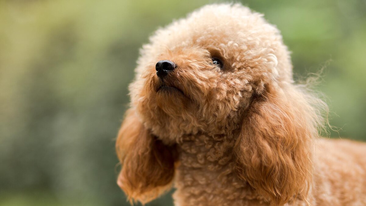    Фото: freepik.com/fanjianhua