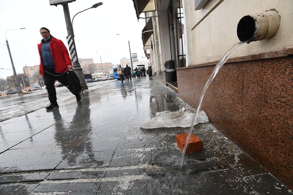    2025 год в Москве стал рекордно теплым Иван МАКЕЕВ