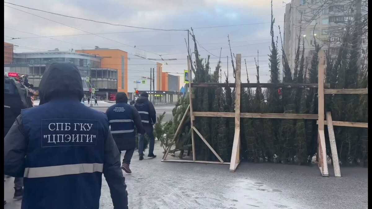   Telegram-канал комитета по контролю за имуществом Петербурга