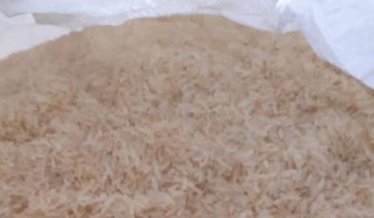    Фото: Россельхознадзор РФ