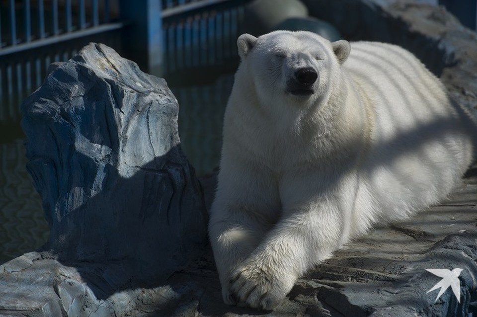    Голосование продлится до 28 декабря Алексей БУЛАТОВ