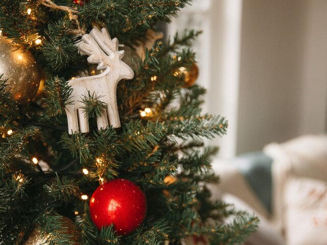    Фото: 123RF.com/smolnyi