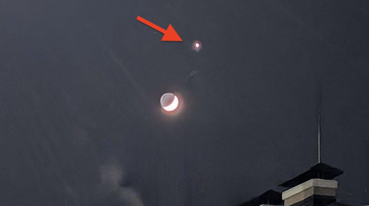    В ночном небе Венера (обозначена стрелкой) является вторым по яркости объектом после Луны